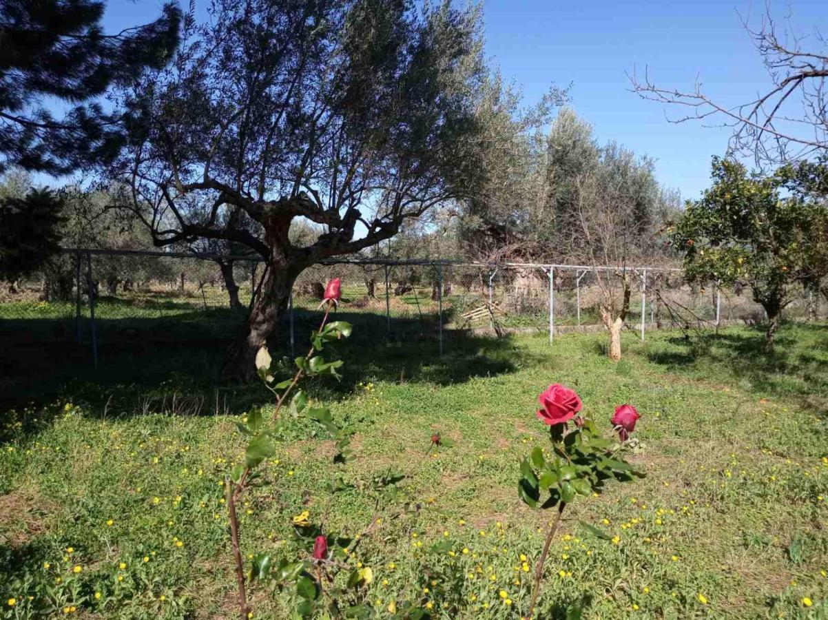 Manousi 1- Ground Floor Apartment Mystras Exterior photo